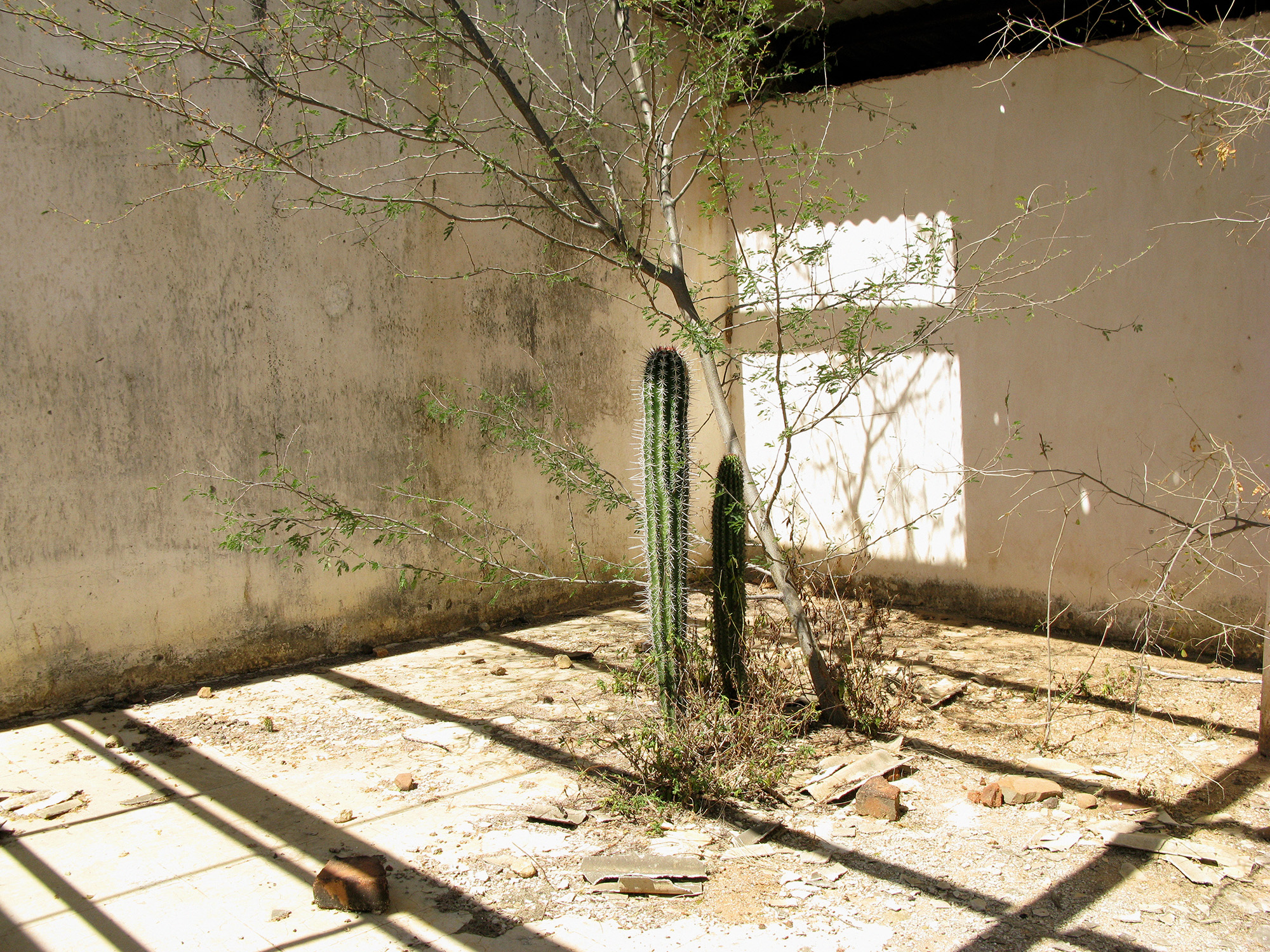 myron-zabol-jardins-sauvage-002